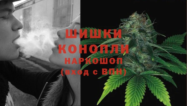 сатива Киреевск