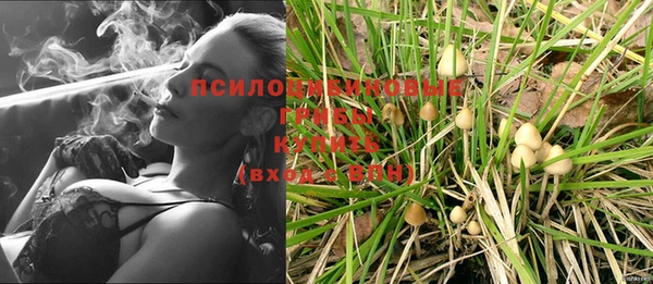 сатива Киреевск