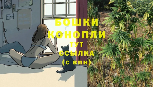 молекула духа Кинешма