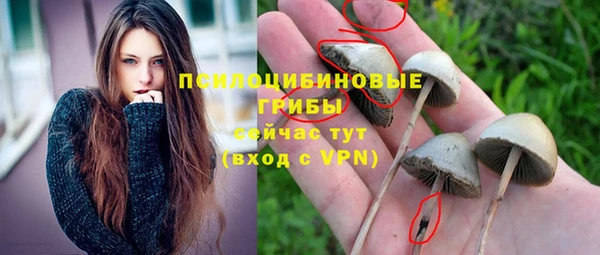 молекула духа Кинешма