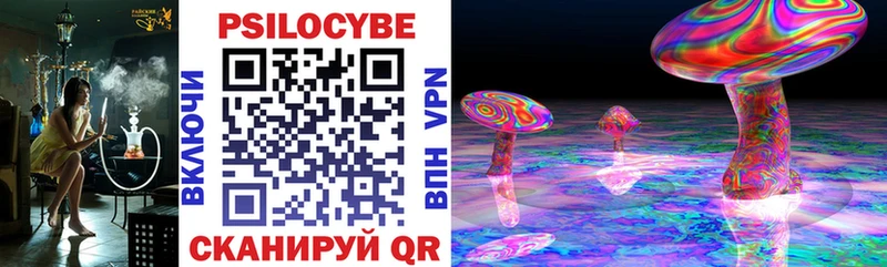 Галлюциногенные грибы Cubensis Ессентуки